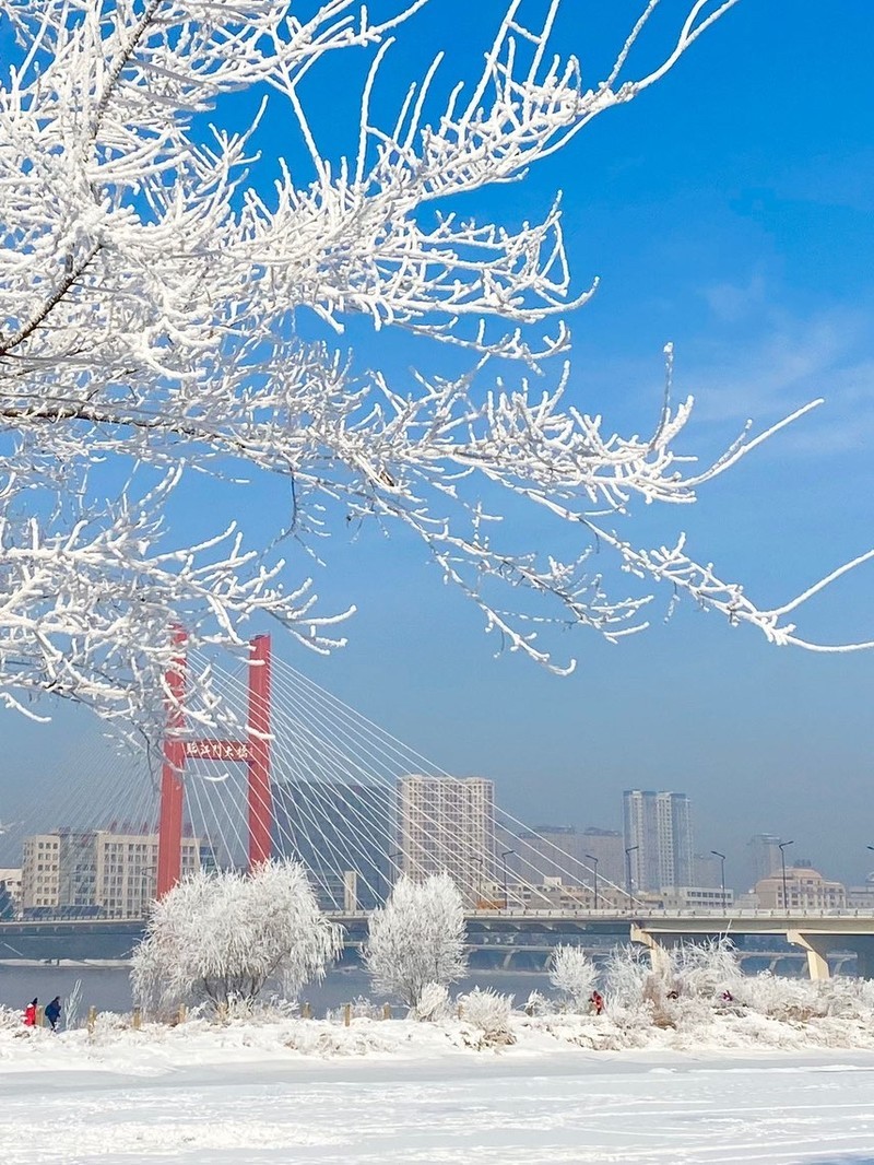 吉林，土地的魅力与活力展现