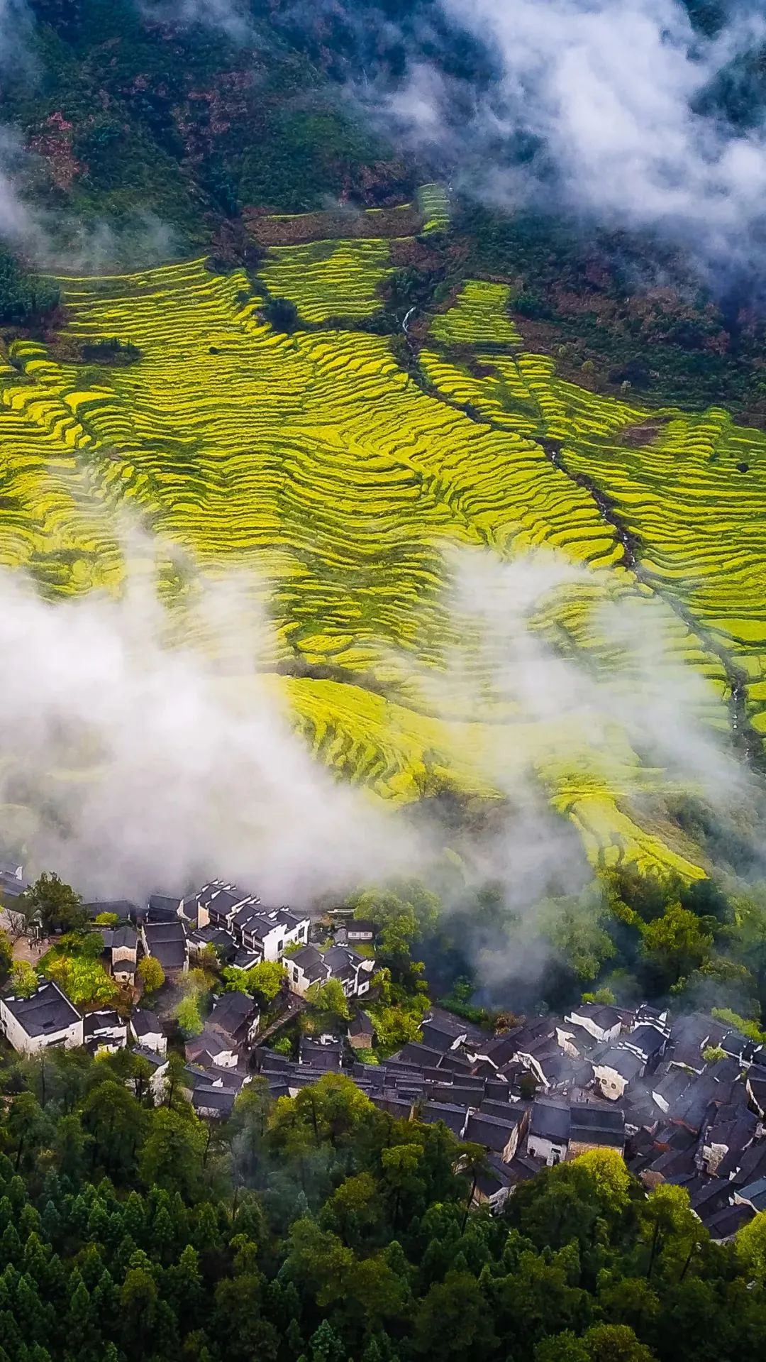 江西绿色崛起与文化传承，新时代风采掠影